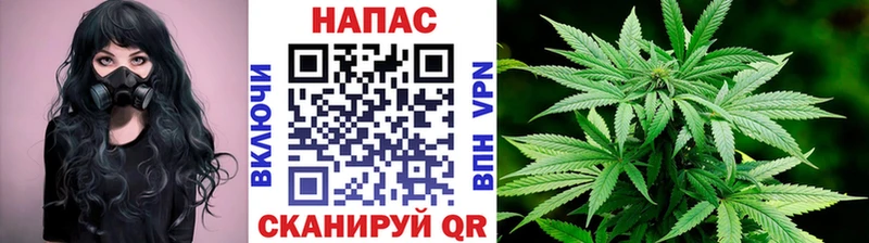 Конопля OG Kush  цены   Вилюйск 